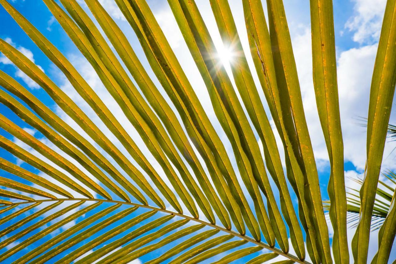 Beaches Bonaire Κράλεντικ Εξωτερικό φωτογραφία